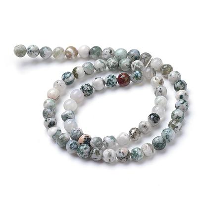 Natural Tree Agate Bead Strands, Round