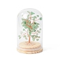 Natural Gemstone Chips Money Tree in Dome Glass Bell Jars with Wood Base Display Decorations, for Home Office Decor Good Luck