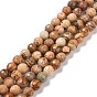Natural Picture Jasper Beads Strands, Faceted(128 Facets), Round