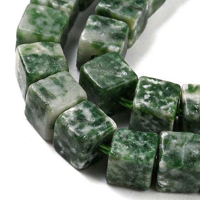 Perles de jaspe tache verte naturelle, cube