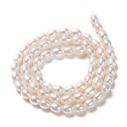 Natural Cultured Freshwater Pearl Beads Strands, Rice, Dyed