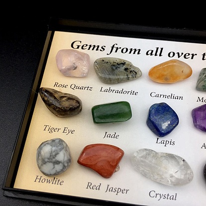 Collections de pépites de pierres naturelles, pour l'enseignement des sciences de la terre