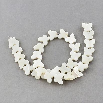 Natural Sea Shell Beads Strands, Butterfly