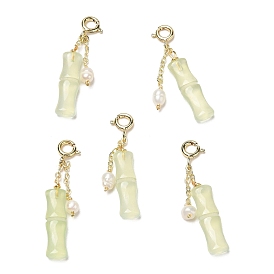 Natural Agate Bamboo Joint Pendant Decorations, with Pearl Beads and Brass Spring Ring Clasps