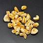 Perles de chips de pépites de coquillages naturels teints, 9~14x6~10mm, Trou: 1mm, environ560 pcs / 500 g