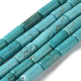 Natural Howlite Beads Strands, Column, Dyed & Heated