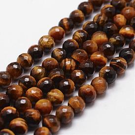 Natural Tiger Eye Beads Strands, Grade A, Faceted, Round
