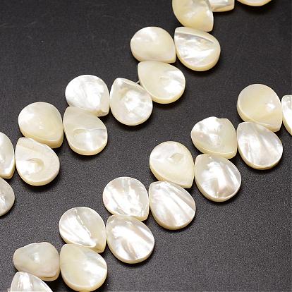Brins de perles de coquille de trochid / trochus shell, perles percées, larme