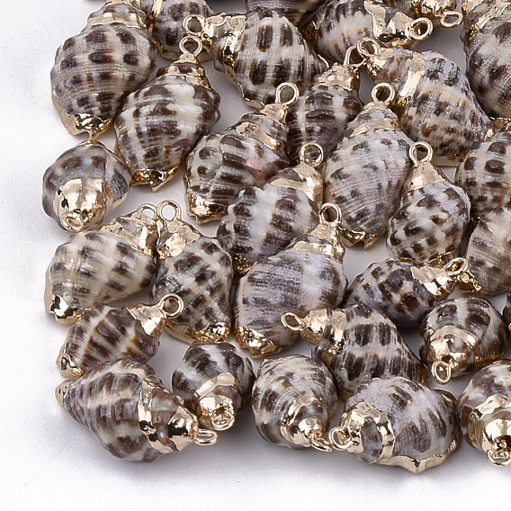 Galvanoplastie en spirale coquille pendentifs, avec les accessoires en fer, or
