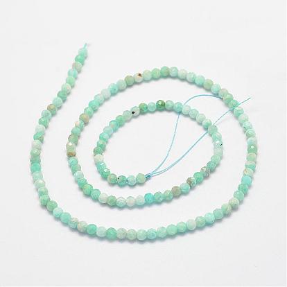 Natural Amazonite Bead Strands, Faceted, Round