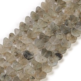 Natural Labradorite Beads Strands, Heart