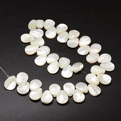 Brins de perles de coquille de trochid / trochus shell, perles percées, larme, 20x15x3~4mm, trou: 1 mm environ 40 perle / Chapelet, 15.75 pouce