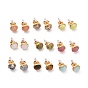 Natural Gemstone Flat Round Stud Earrings, Real 24K Gold Plated 304 Stainless Steel Jewelry for Women
