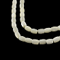 Baril de coquillage trochid naturel / brins de perles de coquillage trochus, 6~7x5mm, Trou: 1mm, Environ 59 pcs/chapelet, 15.7 pouce