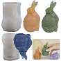 DIY Silicone Candle Molds, for Scented Candle Making, Easter Egg & Rabbit