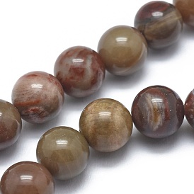 Naturelles pétrifiés perles de bois brins, ronde