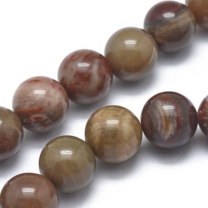 Natural Petrified Wood Beads Strands, Round