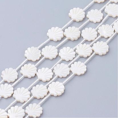 Perles naturelles de coquillages blancs, perles en nacre, en forme de coquille