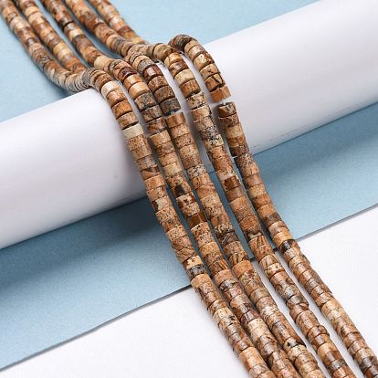 Natural Picture Jasper Beads Strands, Flat Round