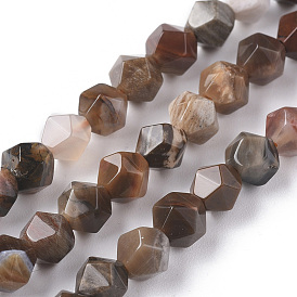 Natural Petrified Wood Beads Strands, Star Cut Round Beads, Faceted