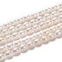 Natural Cultured Freshwater Pearl Beads Strands, Rice, Dyed