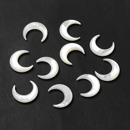 Perles naturelles de coquillages blancs, lune
