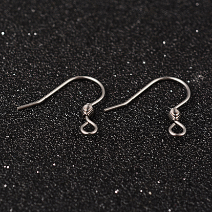 304 Stainless Steel Earring Hook Jewelry Findings, with Horizontal Loop, Ear Wire