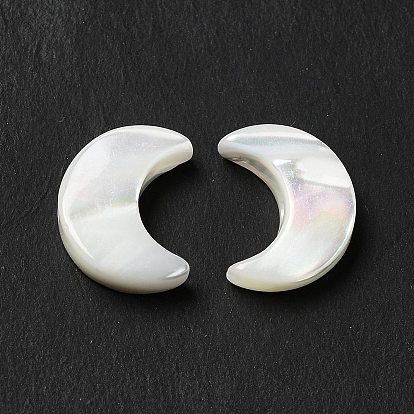 Natural Freshwater Shell Beads, Moon