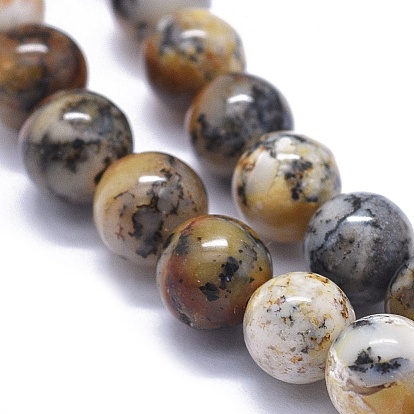 Perles de jaspe mousse noir naturel, ronde