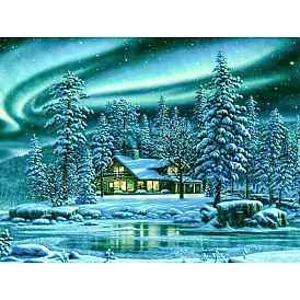 Winter Theme Aurora & House Scenery DIY Diamond Painting Kits, including Resin Rhinestones, Diamond Sticky Pen, Tray Plate and Glue Clay