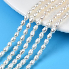 Natural Cultured Freshwater Pearl Beads Strands, Rice