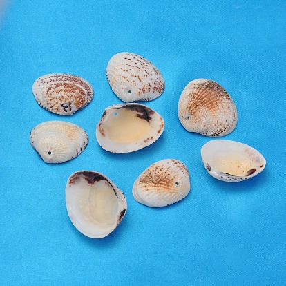 Натуральные шарики из моллюсков, cmешанный, 20~32x21~37x5~10 мм, отверстие : 1.5 мм