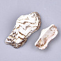 Sea Shell Beads, Undrilled/No Hole Beads