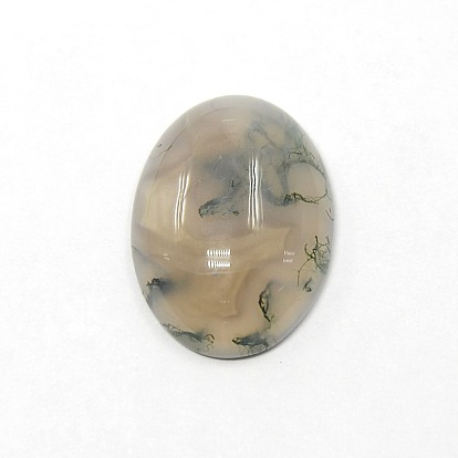 Forme mixte ovale cabochon en agate naturelle, teint, 20x15x5mm