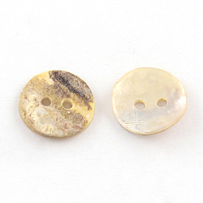 2-отверстие кнопки плоские круглые морские раковины, 10~11x1~2 мм, отверстие : 1 мм