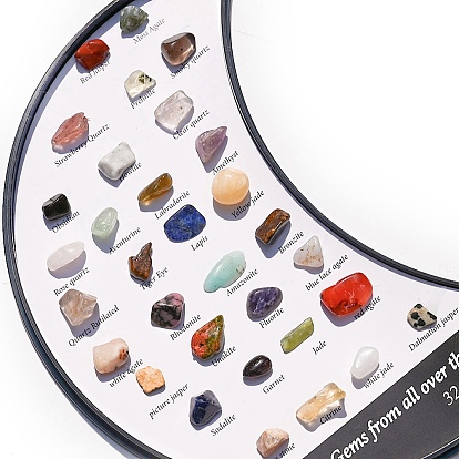 Collections de pépites de pierres naturelles, pour l'enseignement des sciences de la terre