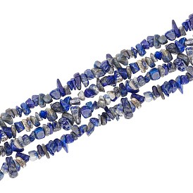 ARRICRAFT Natural Lapis Lazuli Chip Beads Strands