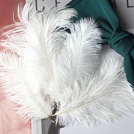 Accessoires d'ornement en plumes d'autruche, pour les accessoires photo bricolage, artisanat