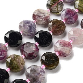Natural Tourmaline Beads Strands, with Seed Beads, Faceted Hexagonal Cut, Flat Round