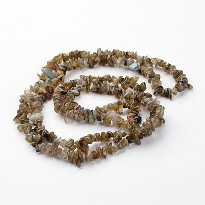 Copeaux de labradorite naturelle perles brins, 5~8mm, Trou: 0.3mm, environ 32~32.5 pouce