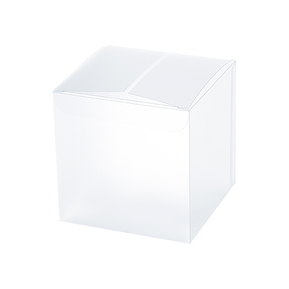 Boîte de faveur rectangle en pvc givré boîte-cadeau de friandises, pour la boîte d'emballage de douche de bébé de noce, blanc