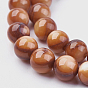Chapelets de perles de coquillage, teint, ronde