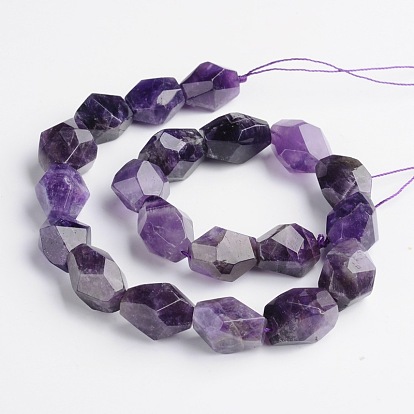 Nuggets Natural Amethyst Beads Strands, 15~22x8~17mm, Hole: 1mm, about 18~22pcs/strand, 15 inch