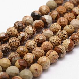 Natural Picture Jasper Beads Strands, Faceted, Round