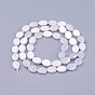 Shell Pearl Beads Strands, Oval