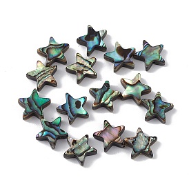 Natural Abalone Shell/Paua Shell Beads, Star