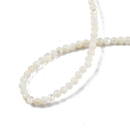 Shell normal de perles blanches de brins, ronde