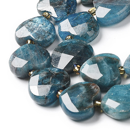 Natural Apatite Beads Strands, Faceted Love Heart, with Seed Beads