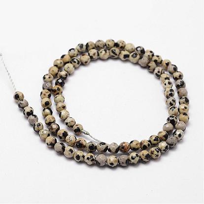 Naturelles dalmate jaspe perles brins, facette, ronde