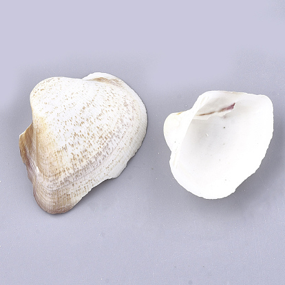Natural Trochid Shell/Trochus Shell Beads, Undrilled/No Hole Beads